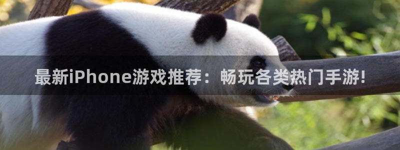 奇亿娱乐4招商：最新iPhone游戏推荐：畅玩各类热门手游!