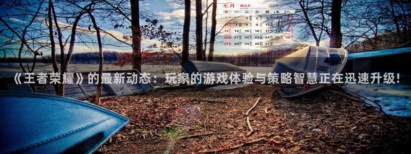奇亿娱乐4招商：《王者荣耀》的最新动态：玩家的游戏体验与策略