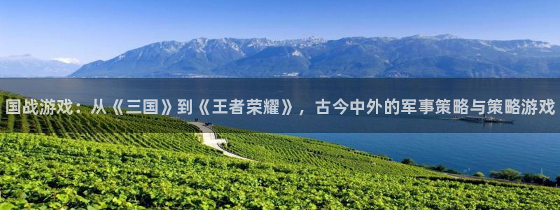 奇亿娱乐登陆测速：国战游戏：从《三国》到《王者荣耀》，古今中