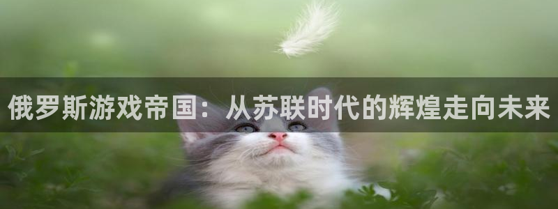 奇亿娱乐平台：俄罗斯游戏帝国：从苏联时代的辉煌走向未来